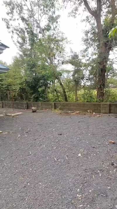 Nyumba ya vyumba vitatu inapangishwa Njiro Msola, Arusha Nyumba ya vyumba vitatu inapangishwa Njiro Msola, Arusha