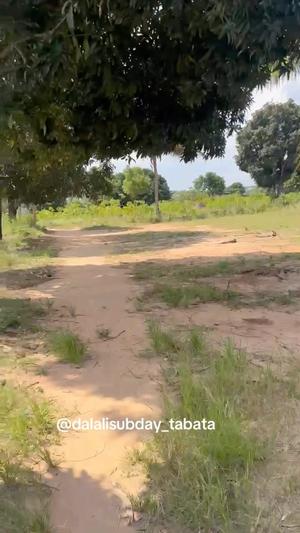 Kiwanja kinauzwa Kifuru Vibula, Dar Es Salaam (800 sqm)