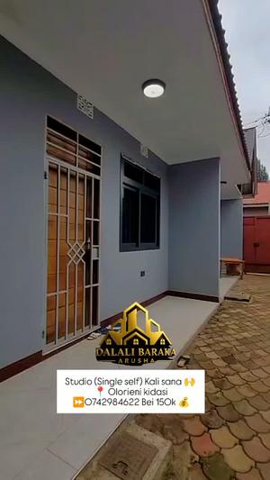 Studio Apartment inapangishwa Olorieni Kidasi, Arusha Studio Apartment inapangishwa Olorieni Kidasi, Arusha
