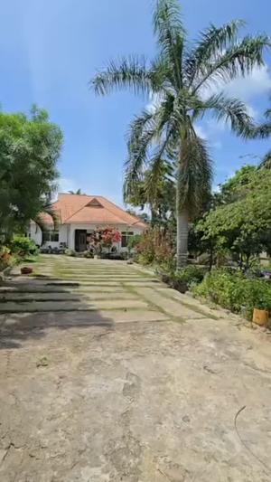 3 Bedrooms House for Sale in Mbezi Msakuzi, Dar Es Salaam (1200 sqm) 3 Bedrooms House for Sale in Mbezi Msakuzi, Dar Es Salaam (1200 sqm)