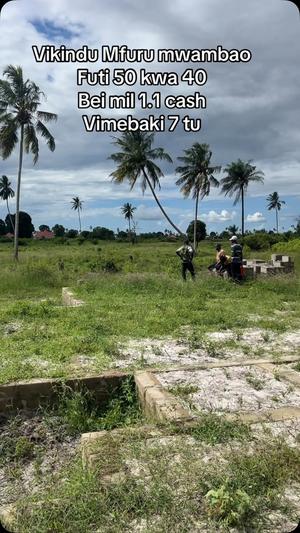 Viwanja vinauzwa Vikindu Vianzi Mfurumwambao, Pwani