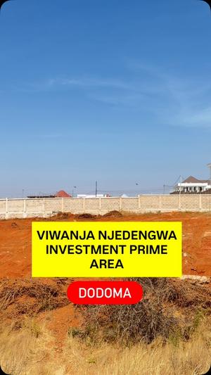 Plots for sale in Njedengwa Investment, Dodoma sqm 6000