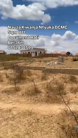 Kiwanja kinauzwa Ntyuka, Dodoma (1111 sqm)
