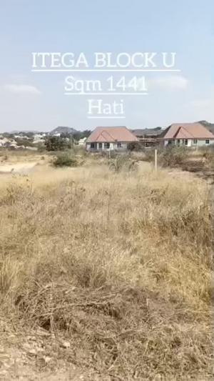 Kiwanja kinauzwa Itega, Dodoma (1441 sqm) Kiwanja kinauzwa Itega, Dodoma (1441 sqm)