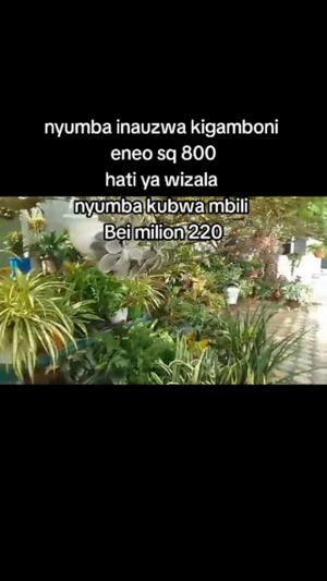 House for Sale in Kigamboni, Dar Es Salaam (800 sqm)