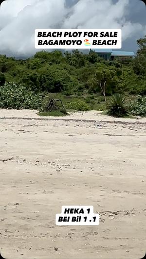 Beach Plot kinauzwa Bagamoyo Mjini, Pwani (1 acre) Beach Plot kinauzwa Bagamoyo Mjini, Pwani (1 acre)