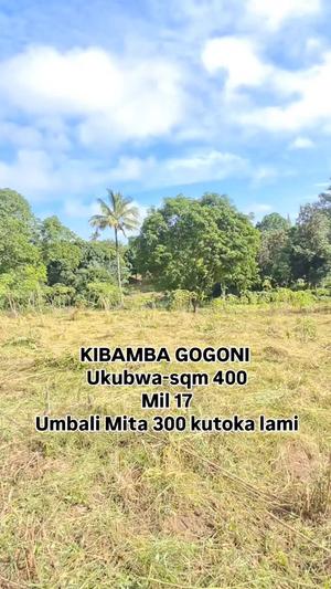 Kiwanja kinauzwa Kibamba Shule, Dar Es Salaam (400 sqm)