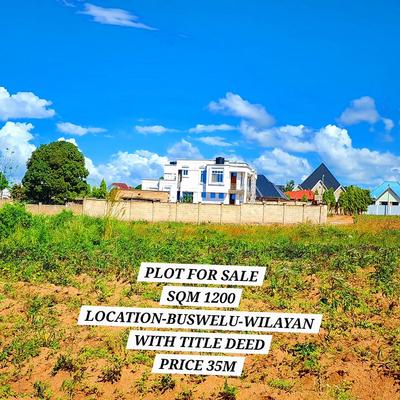 Plot for sale in Buswelu, Mwanza sqm 1200