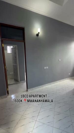 1 Bedroom Apartment for Rent in Mwananyamala, Dar Es Salaam