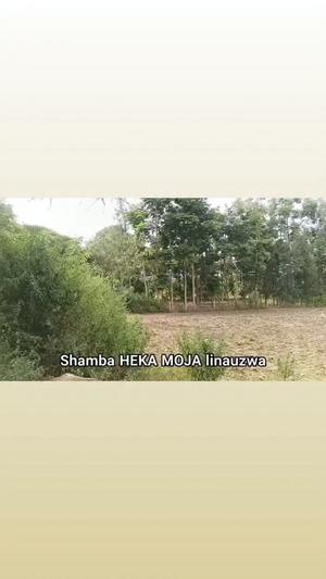 Farm for Sale in Mlangarini, Arusha (1 acre)