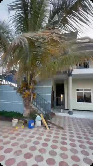 1 Bedroom Apartment for Rent in Nkuhungu, Dodoma