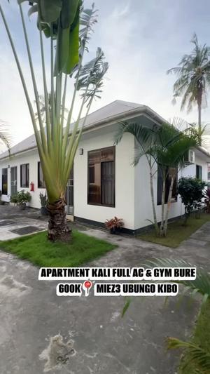 1 Bedroom House/Apartment for Rent in Ubungo Kibo, Dar Es Salaam 1 Bedroom House/Apartment for Rent in Ubungo Kibo, Dar Es Salaam