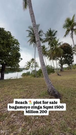 Beach Plot for Sale in Bagamoyo Zinga, Pwani (1500 sqm)
