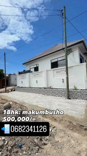 Nyumba ya chumba kimoja inapangishwa Makumbusho, Dar Es Salaam