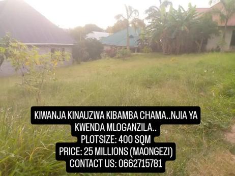 Kiwanja kinauzwa Kibamba Chama, Dar Es Salaam (400 sqm) Kiwanja kinauzwa Kibamba Chama, Dar Es Salaam (400 sqm)