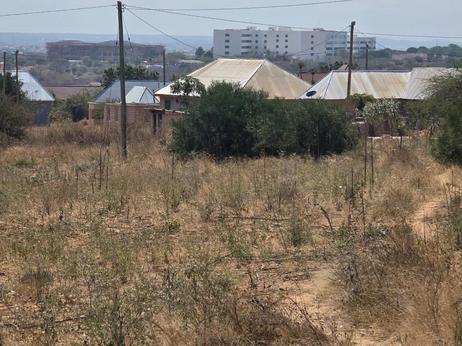 Kiwanja kinauzwa Udom Benjamin Mkapa, Dodoma (1100 sqm)