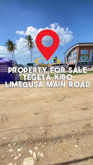 Commercial Plot for Sale in Tegeta Kibo, Dar Es Salaam (1260 sqm)