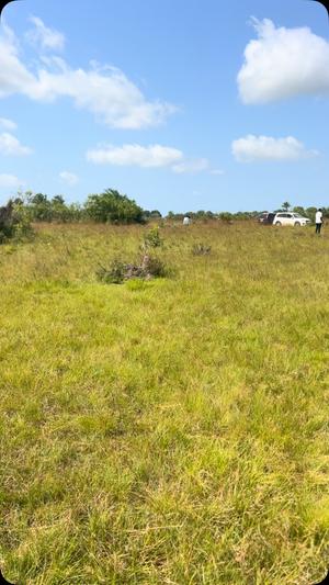 Plot for sale in Kigamboni Muhimbili, Dar Es Salaam sqm 500 Plot for sale in Kigamboni Muhimbili, Dar Es Salaam sqm 500