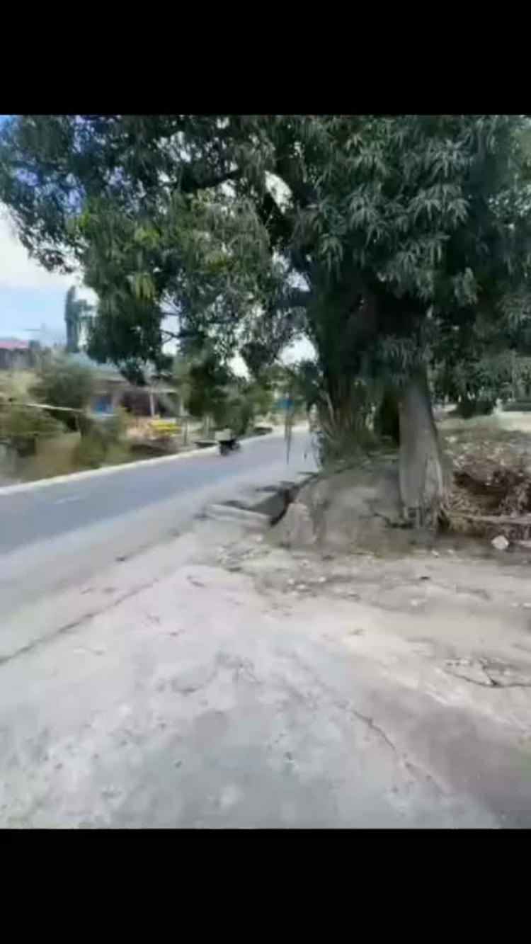media -1 media -1