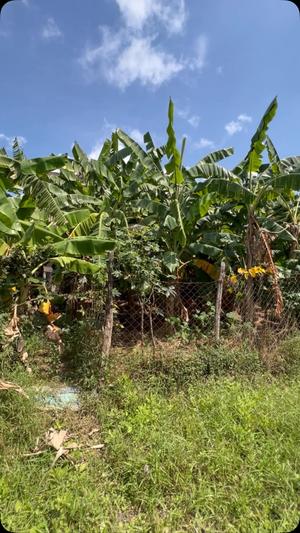 Plot for sale in Sala Sala – Kinzudi, Dar Es Salaam sqm 144