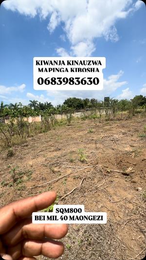 Kiwanja kinauzwa Mapinga Kibosha, Pwani (800 sqm) Kiwanja kinauzwa Mapinga Kibosha, Pwani (800 sqm)