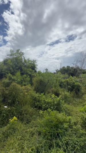 Kiwanja kinauzwa Makunduchi Kigaeni, Zanzibar - Unguja South sqm 5110 Kiwanja kinauzwa Makunduchi Kigaeni, Zanzibar - Unguja South sqm 5110