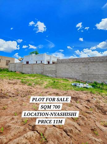 Kiwanja kinauzwa Nyashishi, Mwanza (700 sqm) Kiwanja kinauzwa Nyashishi, Mwanza (700 sqm)