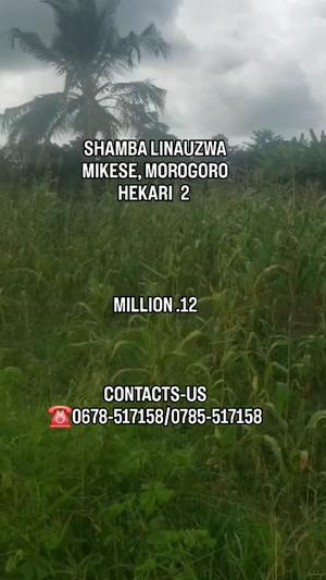 Shamba linauzwa Morogoro (2 acre) Shamba linauzwa Morogoro (2 acre)