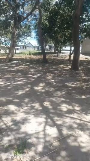 Kiwanja kinauzwa Kibamba, Dar Es Salaam (1181 sqm) Kiwanja kinauzwa Kibamba, Dar Es Salaam (1181 sqm)