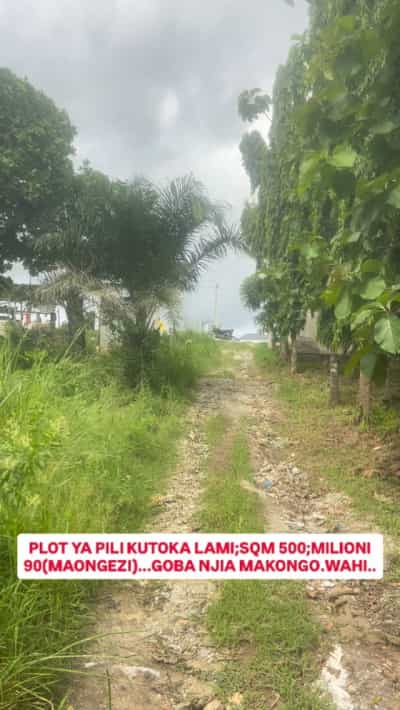 Kiwanja kinauzwa Goba Njia Makongo, Dar Es Salaam (500 sqm)