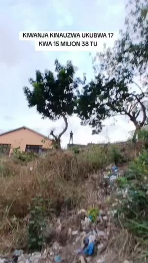 Kiwanja kinauzwa Tabata Kisukuru Migombani, Dar Es Salaam (255 sqm) Kiwanja kinauzwa Tabata Kisukuru Migombani, Dar Es Salaam (255 sqm)