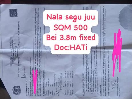 Kiwanja kinauzwa Nala Segu Juu, Dodoma sqm 500 Kiwanja kinauzwa Nala Segu Juu, Dodoma sqm 500