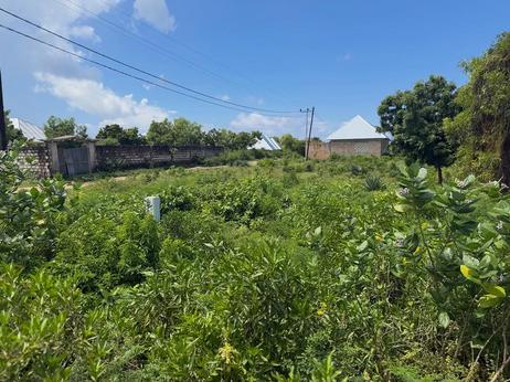 Plot for sale in Matemwe Kigomani, Zanzibar sqm 1200