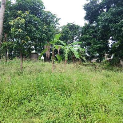 Kiwanja kinauzwa Tabata Kinyerezi, Dar Es Salaam (956 sqm)