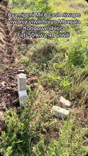 Residential Plot for Sale in Mbagala Kongowe, Dar Es Salaam (200 sqm) Residential Plot for Sale in Mbagala Kongowe, Dar Es Salaam (200 sqm)