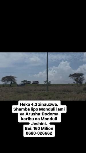 Shamba linauzwa Monduli, Arusha acre 4.3