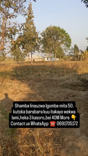 Shamba linauzwa Igombe Road, Mwanza (3 acre) Shamba linauzwa Igombe Road, Mwanza (3 acre)