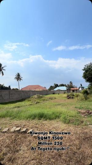 Kiwanja kinauzwa Tegeta Nyuki, Dar Es Salaam sqm 1500