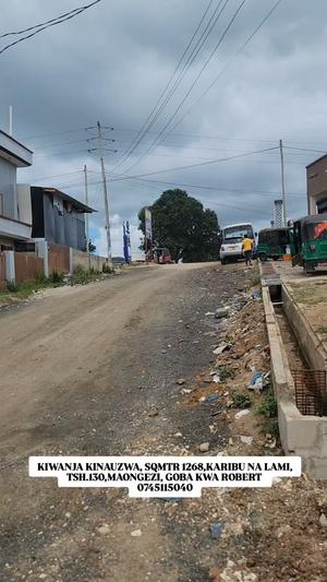 Kiwanja kinauzwa Goba Kwa Robert, Dar Es Salaam (1268 sqm)