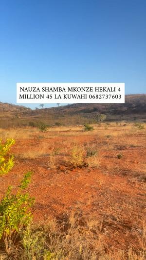 Shamba linauzwa Mkonze, Dodoma (4 acre) Shamba linauzwa Mkonze, Dodoma (4 acre)