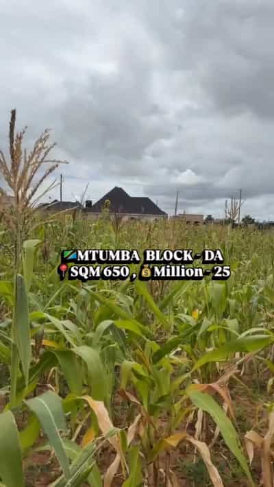 Kiwanja kinauzwa Mtumba, Dodoma (650 sqm) Kiwanja kinauzwa Mtumba, Dodoma (650 sqm)