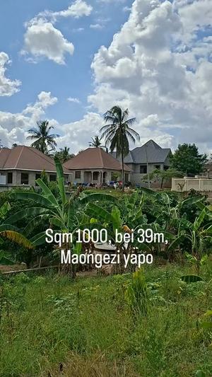 Plot for sale in Goba Madale, Dar Es Salaam sqm 1000 Plot for sale in Goba Madale, Dar Es Salaam sqm 1000