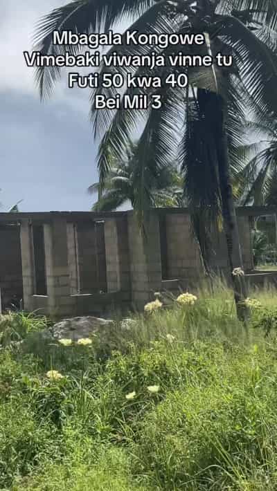 Viwanja vinauzwa Mbagala Kongowe, Dar Es Salaam