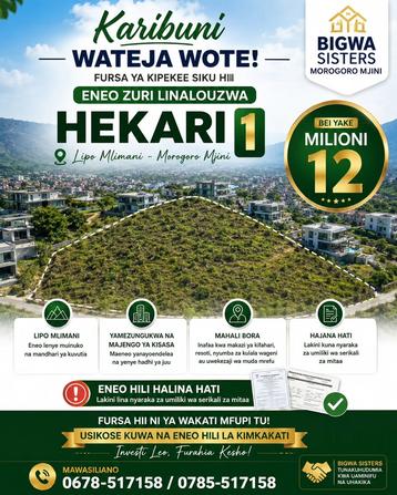 Kiwanja kinauzwa Bigwa Sisters, Morogoro (1 acre)