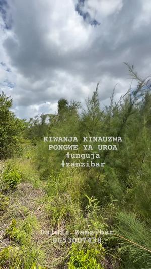 Beach Plot kinauzwa Pongwe Ya Uroa, Tanga (1640 sqm)