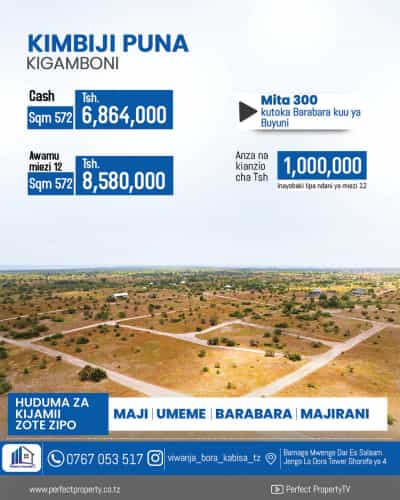 Viwanja vinauzwa Kigamboni Kimbiji Puna, Dar Es Salaam (500 sqm)