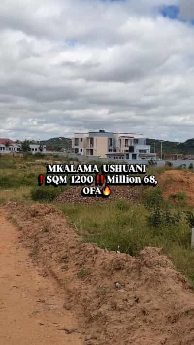 Kiwanja kinauzwa Makulu Mkalama Ushuani, Dodoma (1200 sqm)