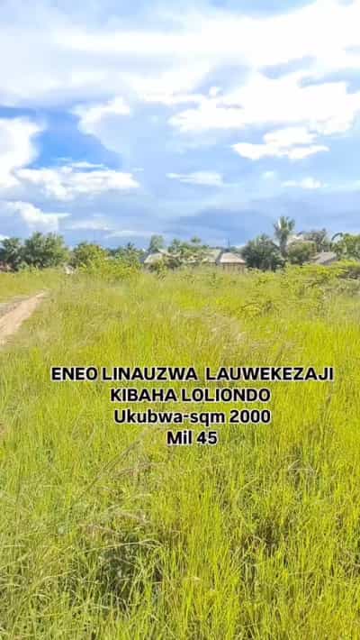 Kiwanja kinauzwa Kibaha Loliondo, Pwani (2000 sqm) Kiwanja kinauzwa Kibaha Loliondo, Pwani (2000 sqm)