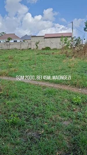 Plot for sale in Mbezi Njia Ya Mpigi, Dar Es Salaam sqm 2000