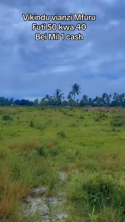 Kiwanja kinauzwa Vikindu Vianzi Mfurumwambao, Pwani (200 sqm)